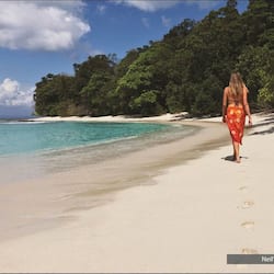 鄰近海灘、白沙