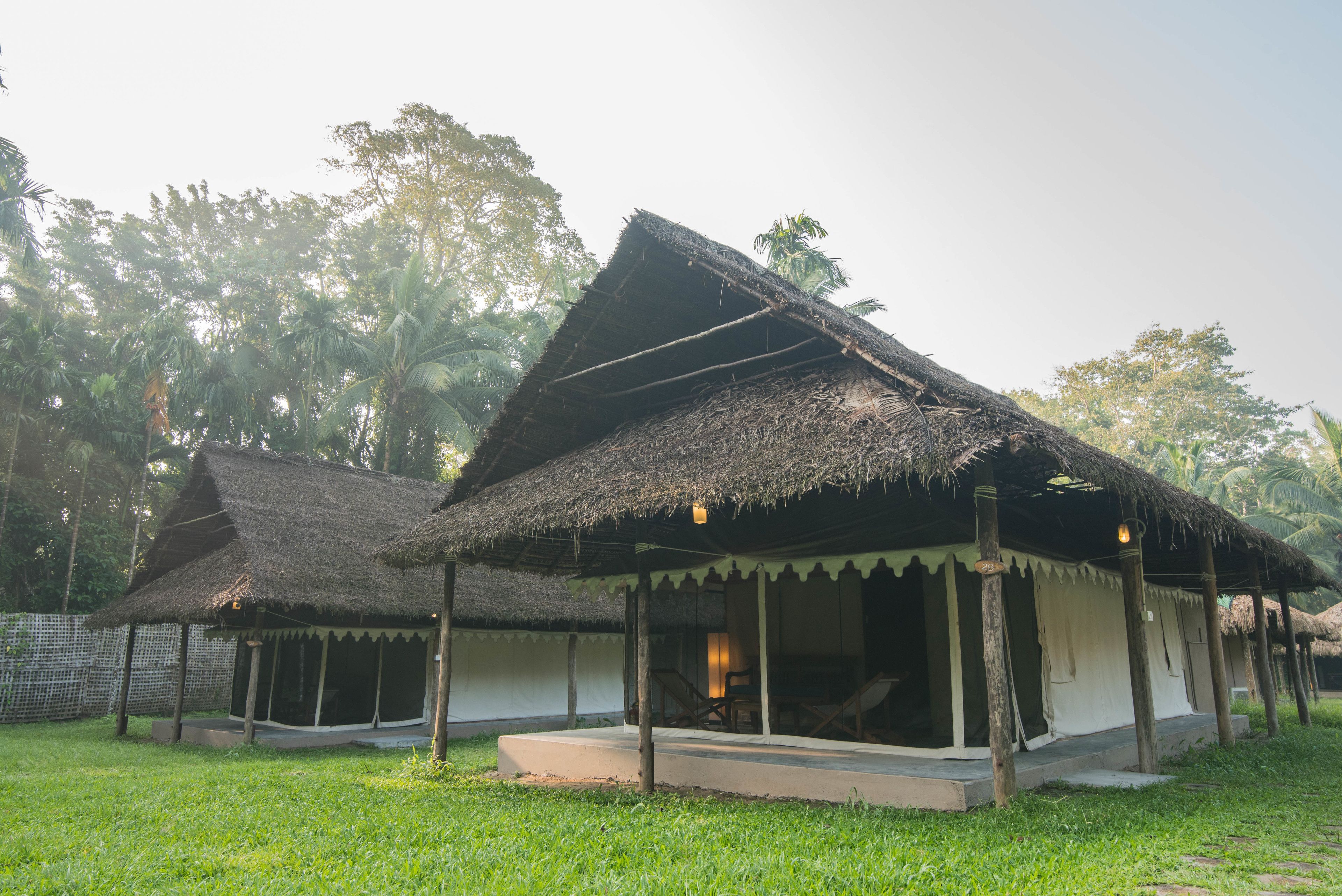 A thatched-roof structure with a porch and a covered seating area, surrounded by lush greenery.