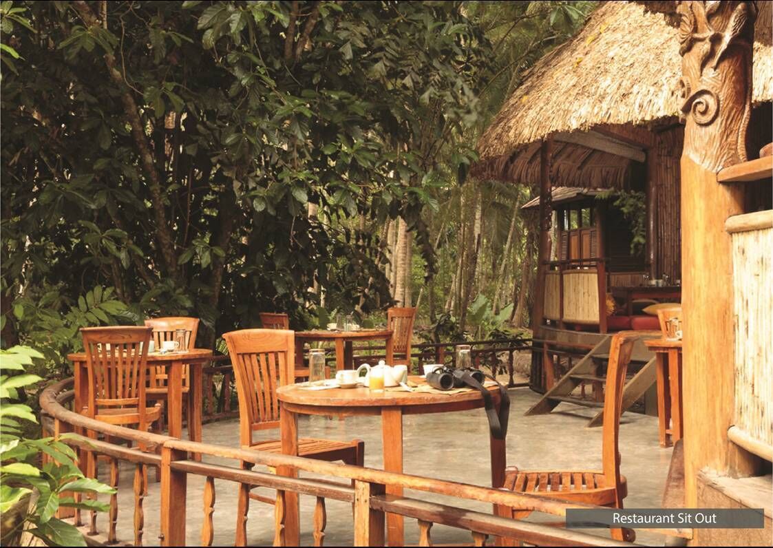 international cuisine