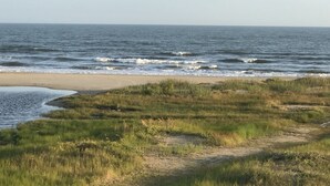 Une plage avec des vagues, un rivage sablonneux et des zones herbeuses.