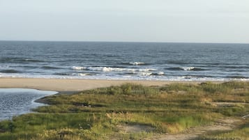 On the beach