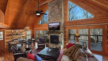 Télévision, cheminée, espaces bureaux