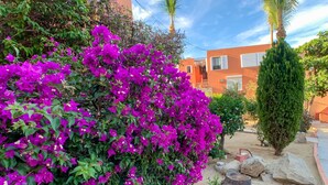 Ein Garten mit leuchtend violetten Bougainvillea-Blüten, einer Palme und einem Gebäude mit roter Fassade.