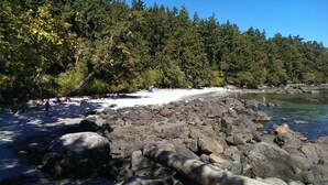 Una playa con un primer plano rocoso, una orilla arenosa y un denso bosque al fondo.