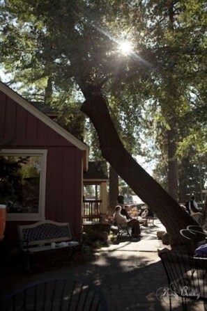 A wooden building with a porch and benches, surrounded by trees. - Amazing West Side - Walk Everywhere - Dog Friendly (Bend)