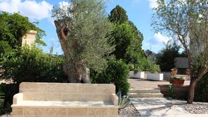 A stone bench in a garden with various trees and plants.