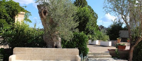 A stone bench in a garden with various trees and plants.