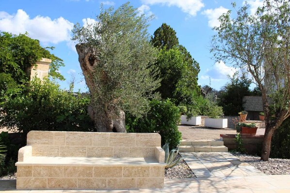 Un banco de piedra en un jardín con diversas plantas y árboles.