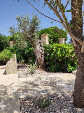 Exterior - Contrada Macchia B&B (Tricase)