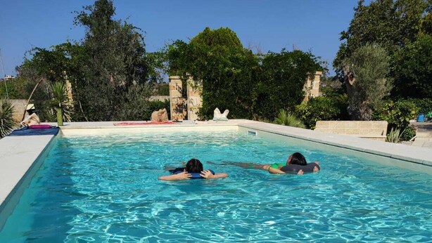 A swimming pool with clear blue water, surrounded by greenery and a stone wall.