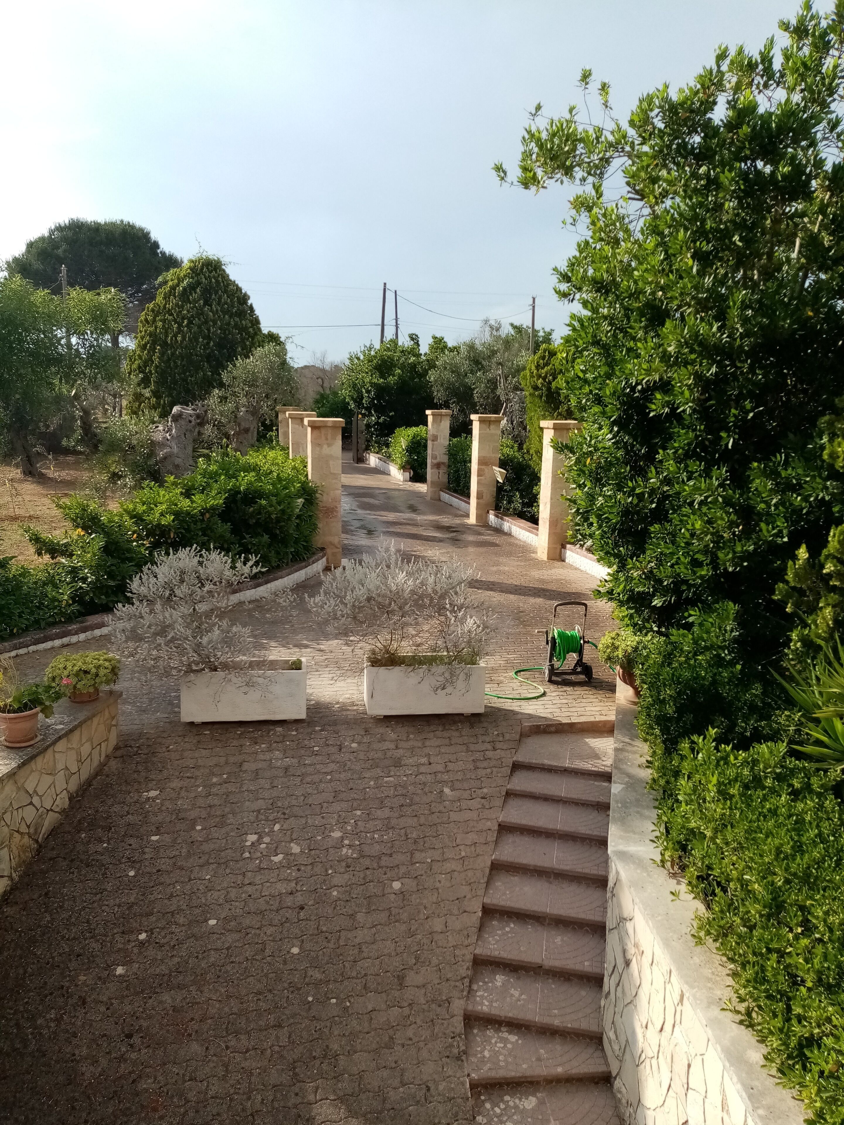 Ein gepflasterter Weg führt zu einem Tor, gesäumt von Steinpfeilern und üppigem Grün.