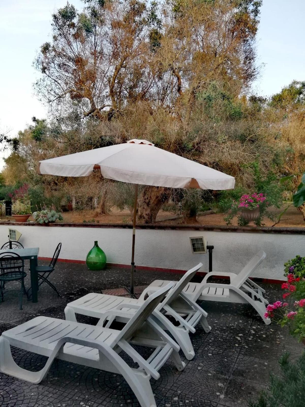 Un área de estar al aire libre con sillas de plástico blanco y un paraguas blanco, rodeada de árboles y plantas en macetas.