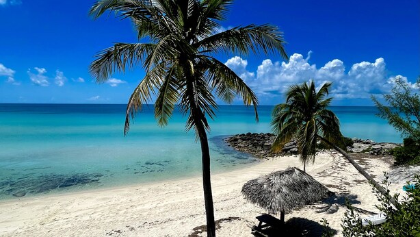 Een strand met helder turquoise water, palmbomen en een rieten parasol.