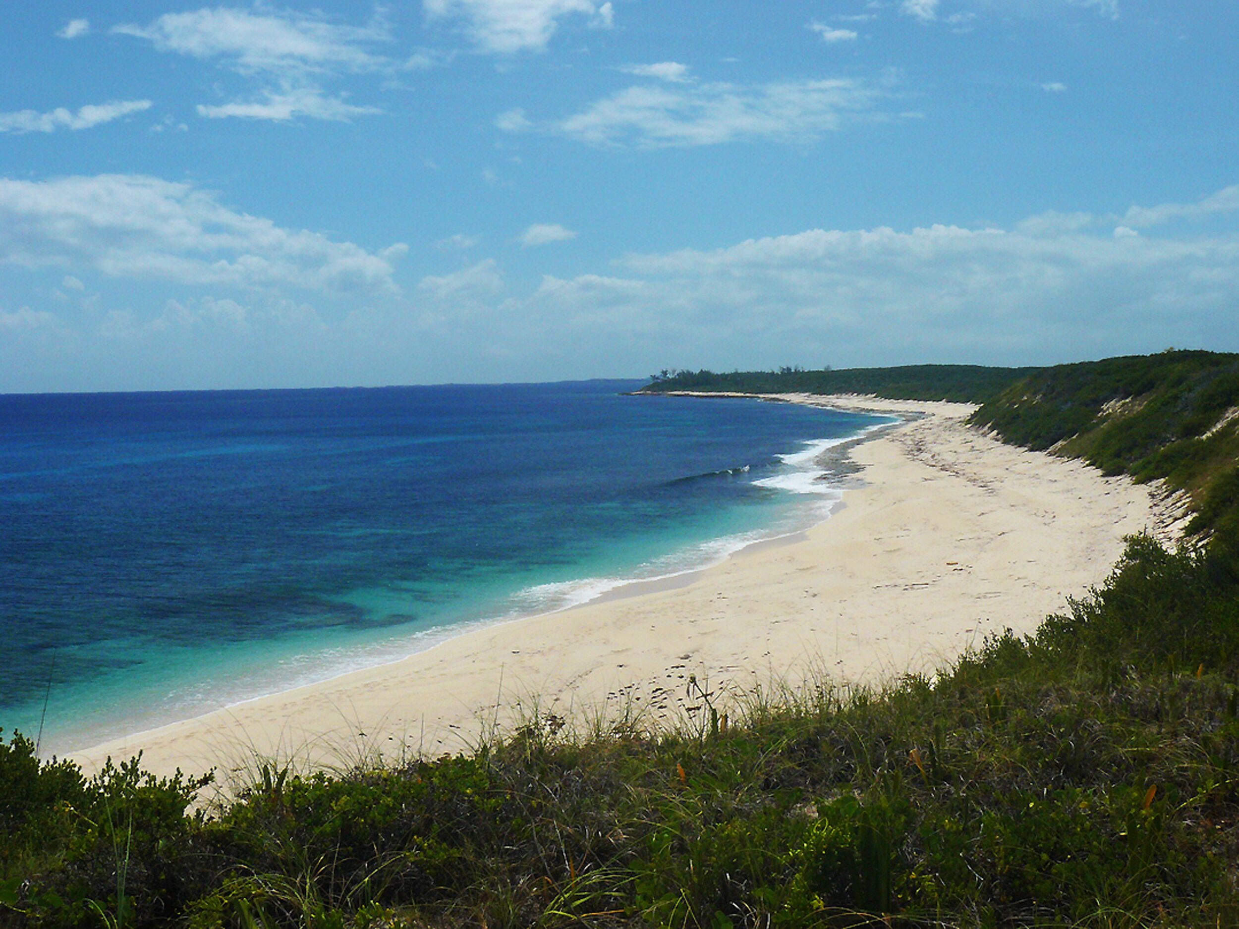 A beach with clear blue water, sandy shore, and green vegetation.