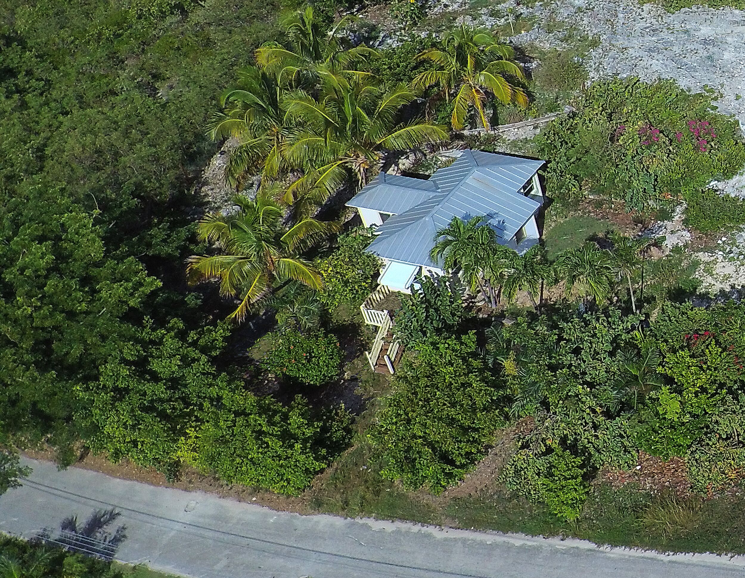 Vue aérienne d’une maison entourée d’une végétation tropicale dense, notamment de palmiers.