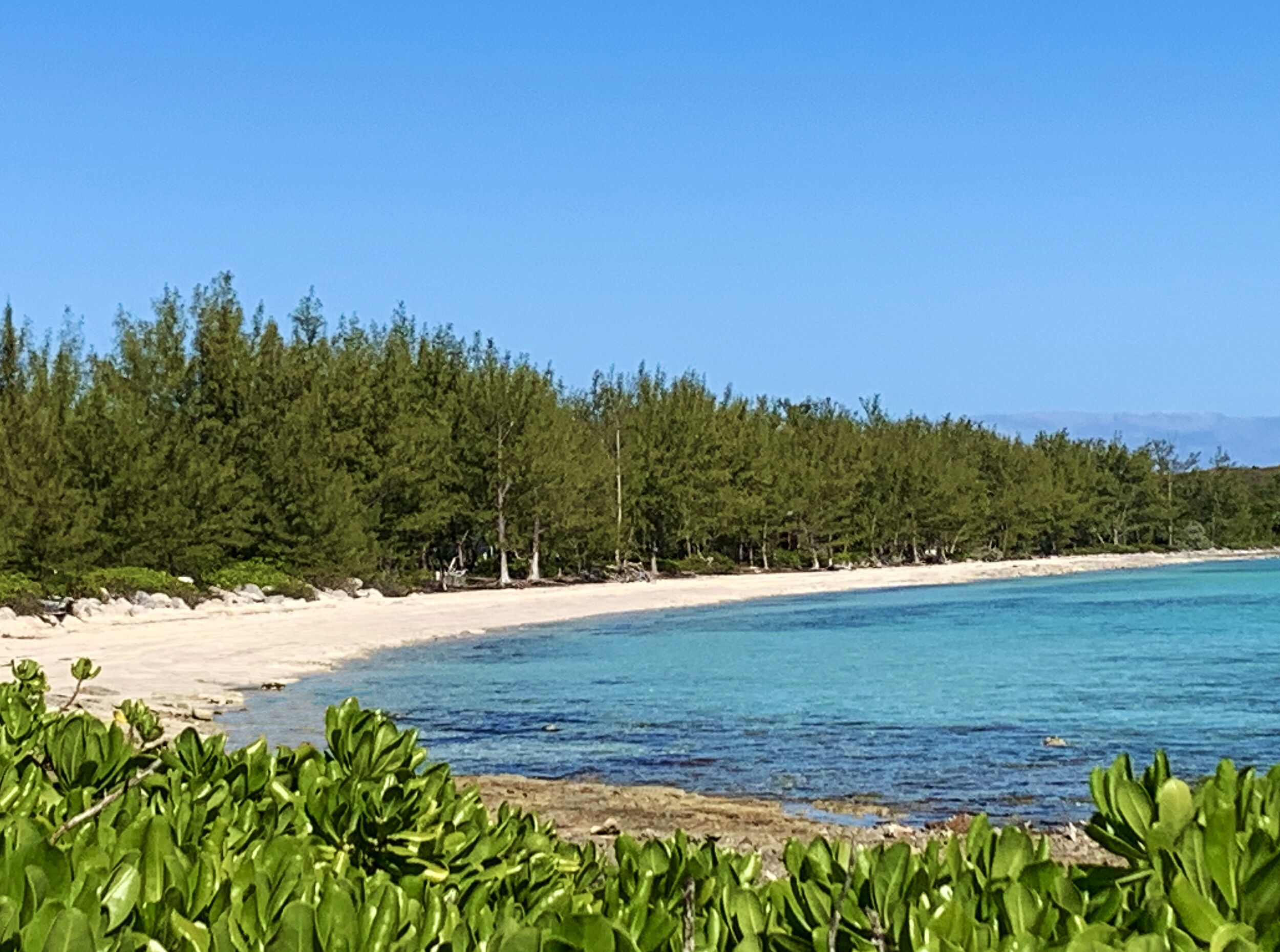 Una playa con agua azul cristalina, una orilla arenosa y un bosque frondoso al fondo.