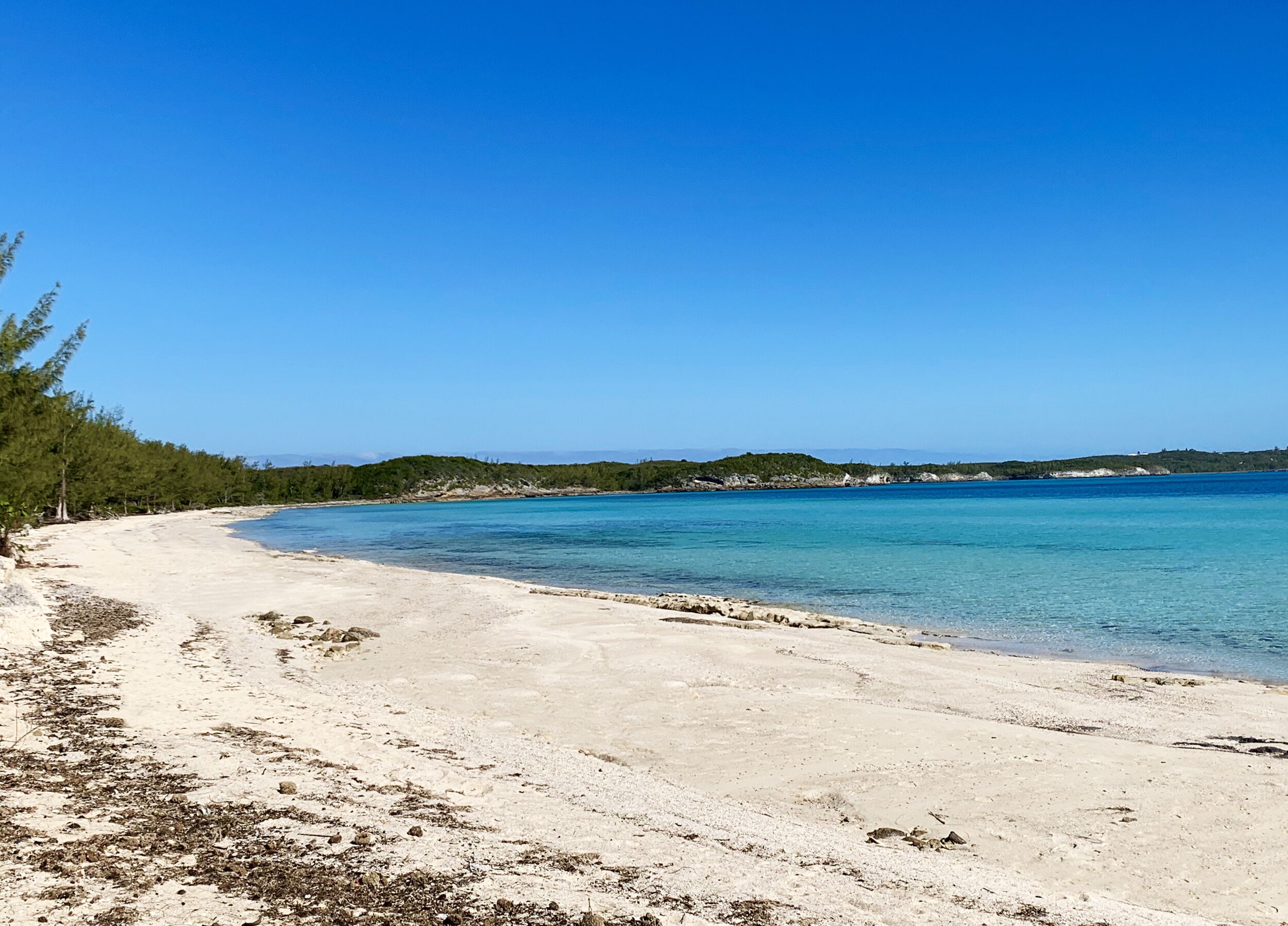 A beach with clear blue water, sandy shore, and dense greenery.