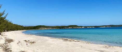 A beach with clear blue water, sandy shore, and dense greenery.