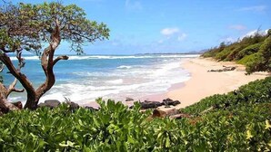 Ein Strand mit Wellen, einem Baum und viel Grün.