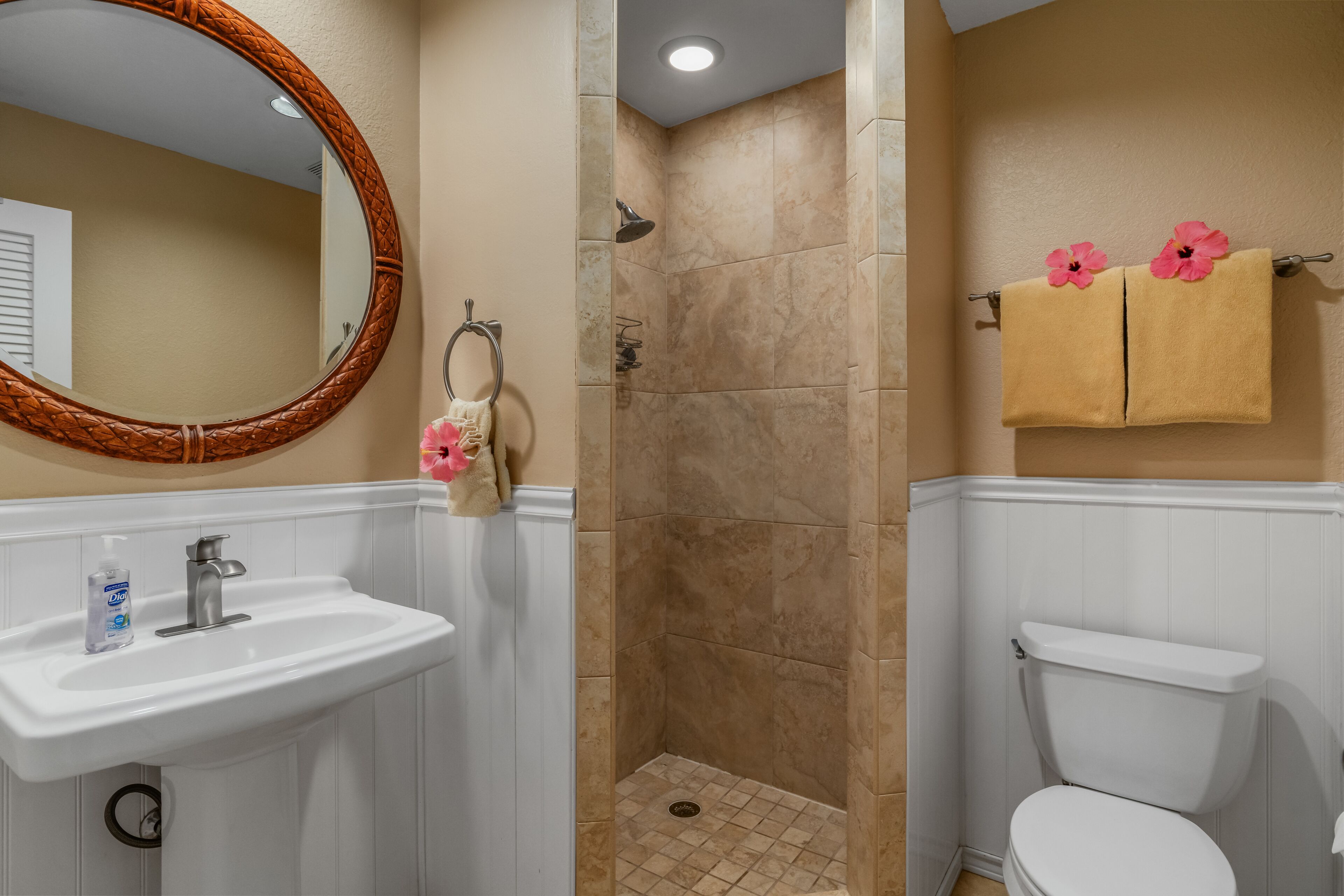 Shower, hair dryer, towels