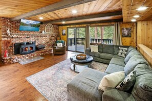 TV, fireplace, video games, DVD player