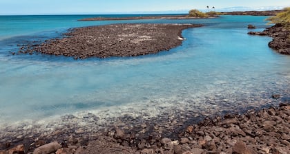 Luxury condo in prestigious Hali'i Kai oceanfront community. Ocean bar and grill