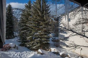 Surrounded by snow-covered evergreen trees and rugged mountains, this serene winter wonderland offers a peaceful escape.