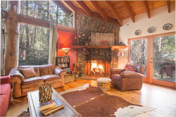 Fireplace, DVD player, books, video library