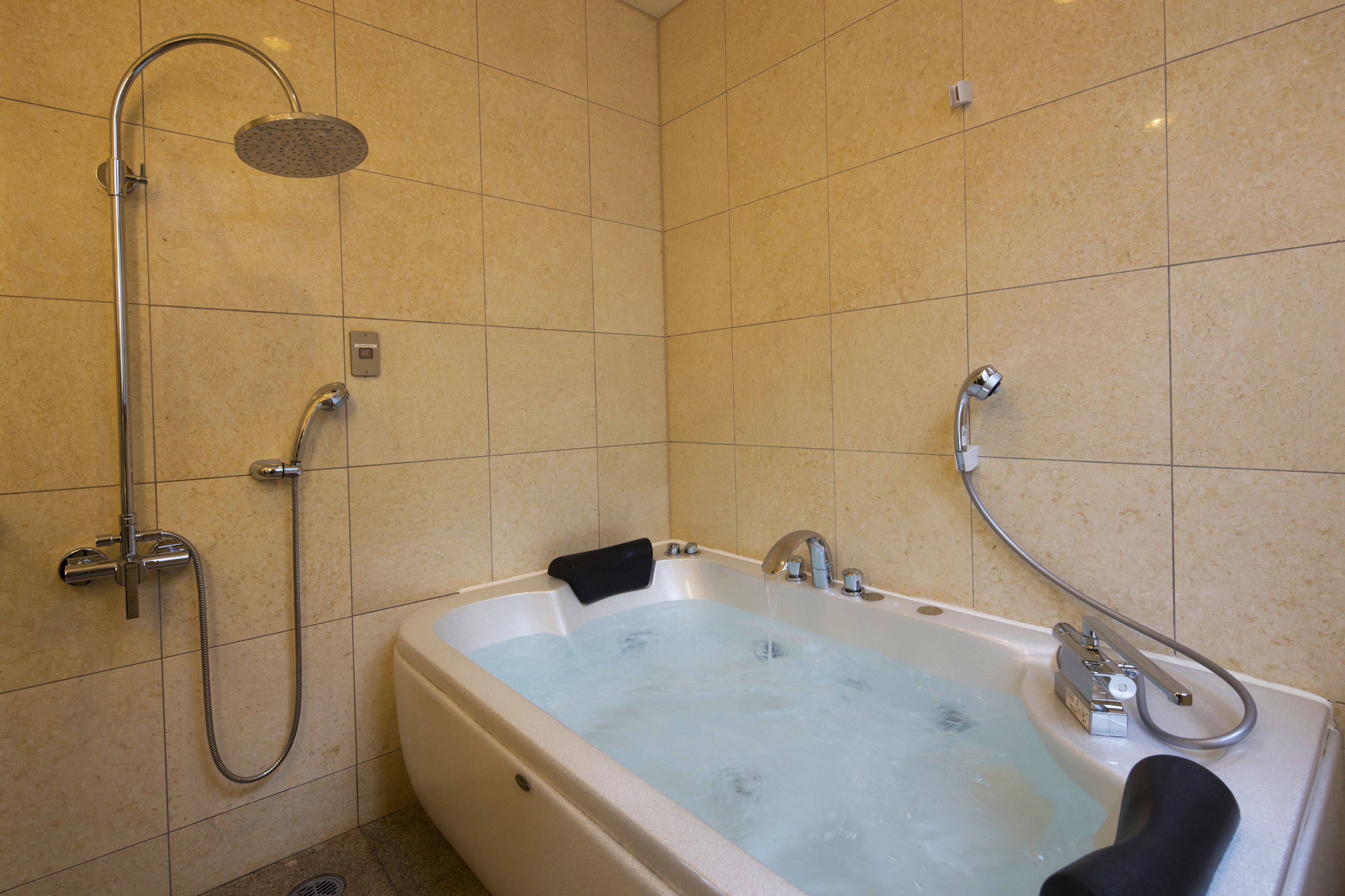 separate bathtub and shower, jetted bath, free toiletries, hair dryer
