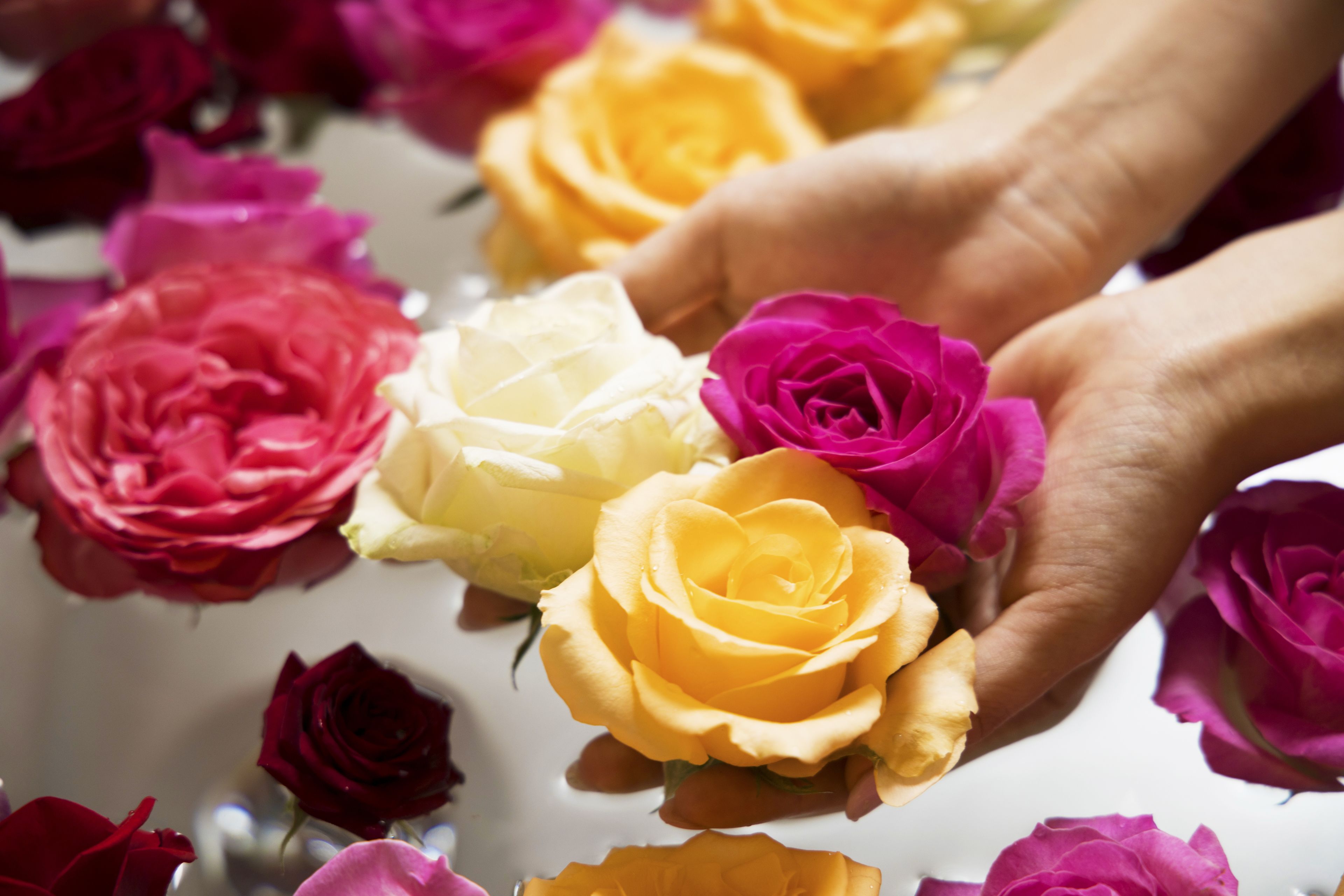 separate bathtub and shower, jetted bath, free toiletries, hair dryer