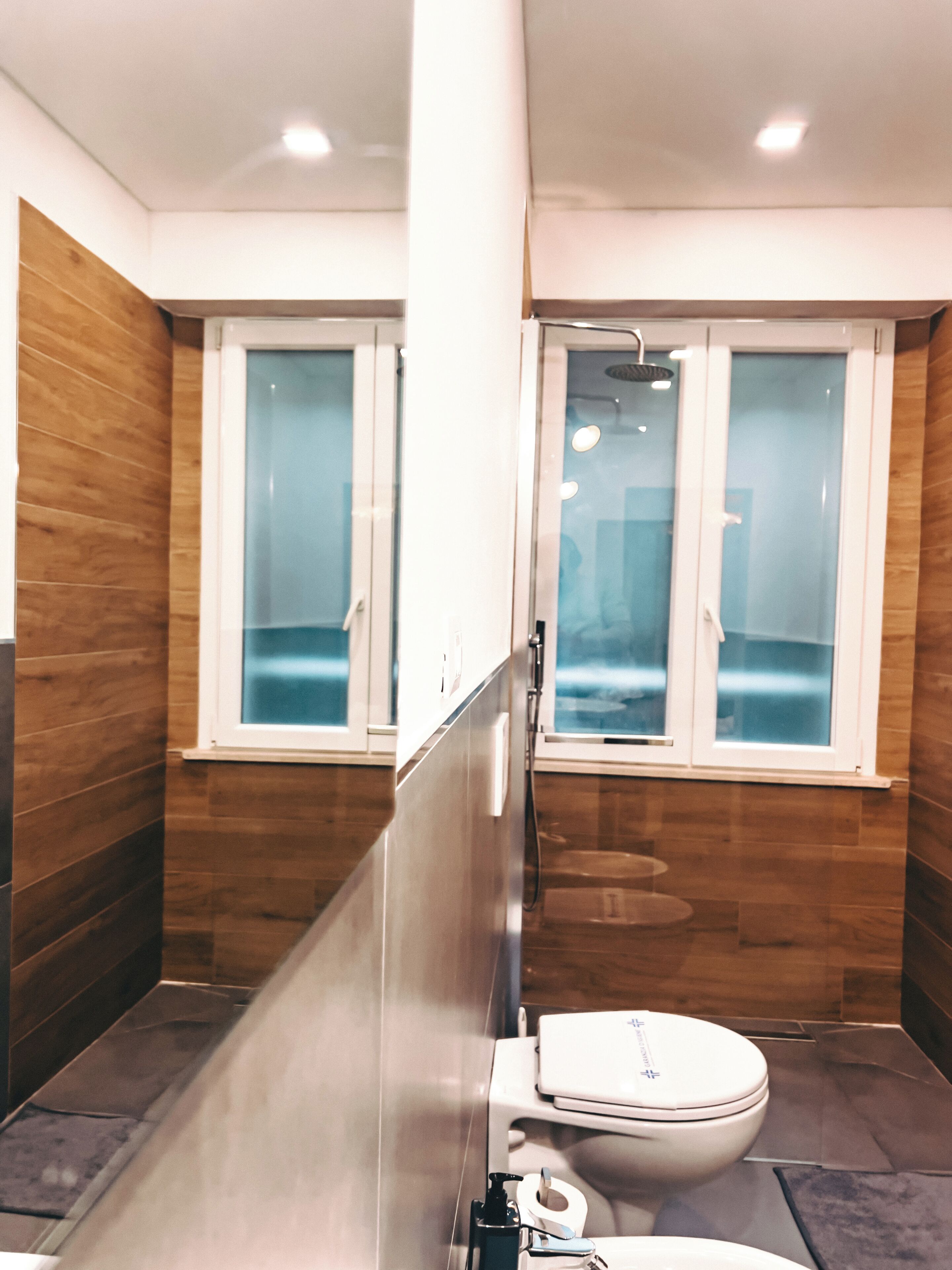 A modern bathroom with a toilet, a shower, and frosted glass windows.