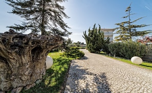 Garden - Hotel Radice (Civitanova Marche)