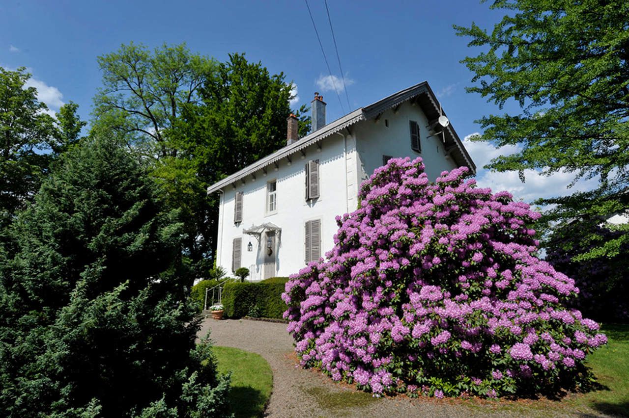 A white building with a sloped roof and multiple windows, surrounded by lush greenery and a large bush of purple flowers.