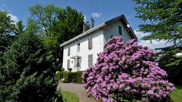 A white building with a sloped roof and multiple windows, surrounded by lush greenery and a large bush of purple flowers.