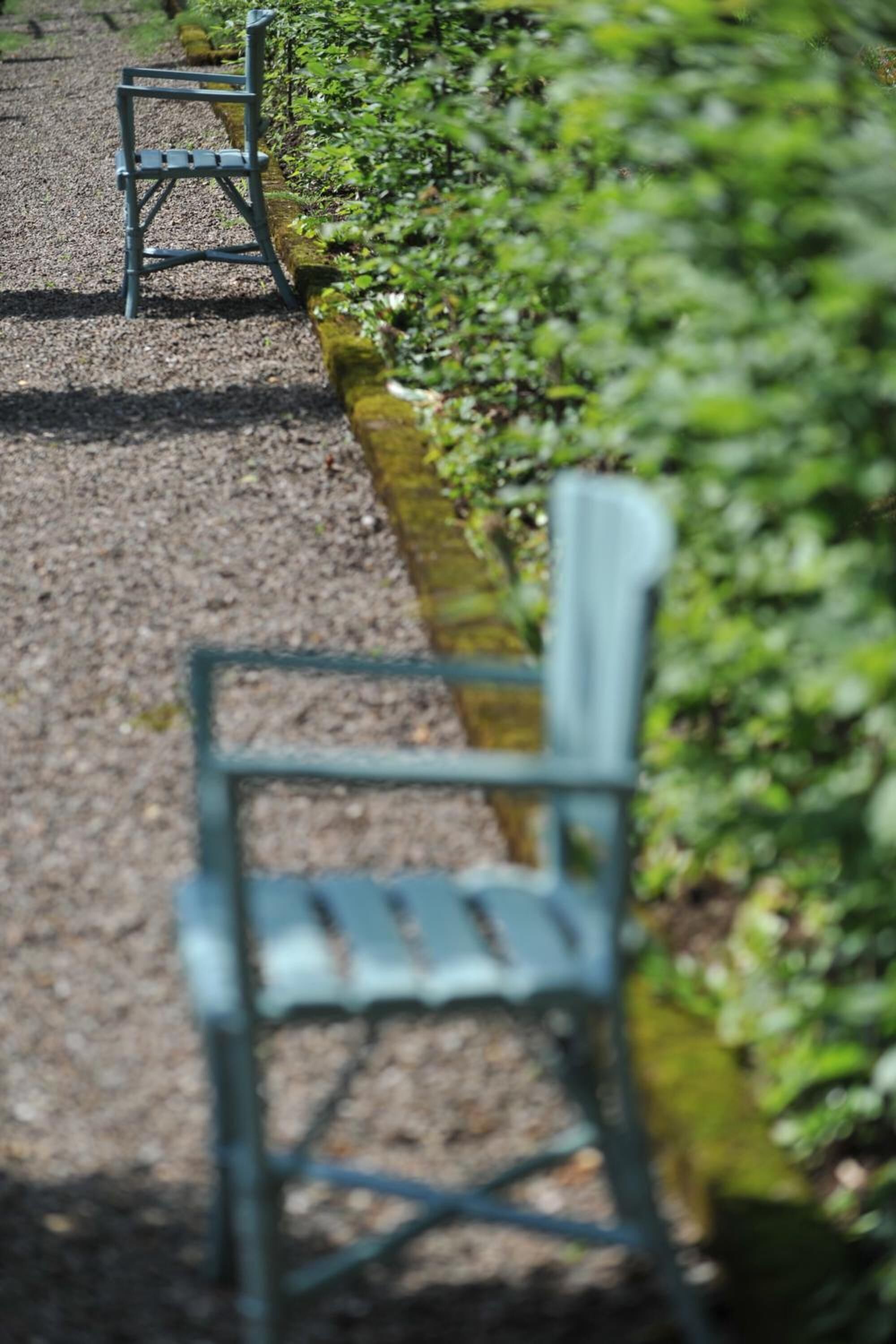 A pathway with two metal chairs aligned on one side, bordered by a hedge.