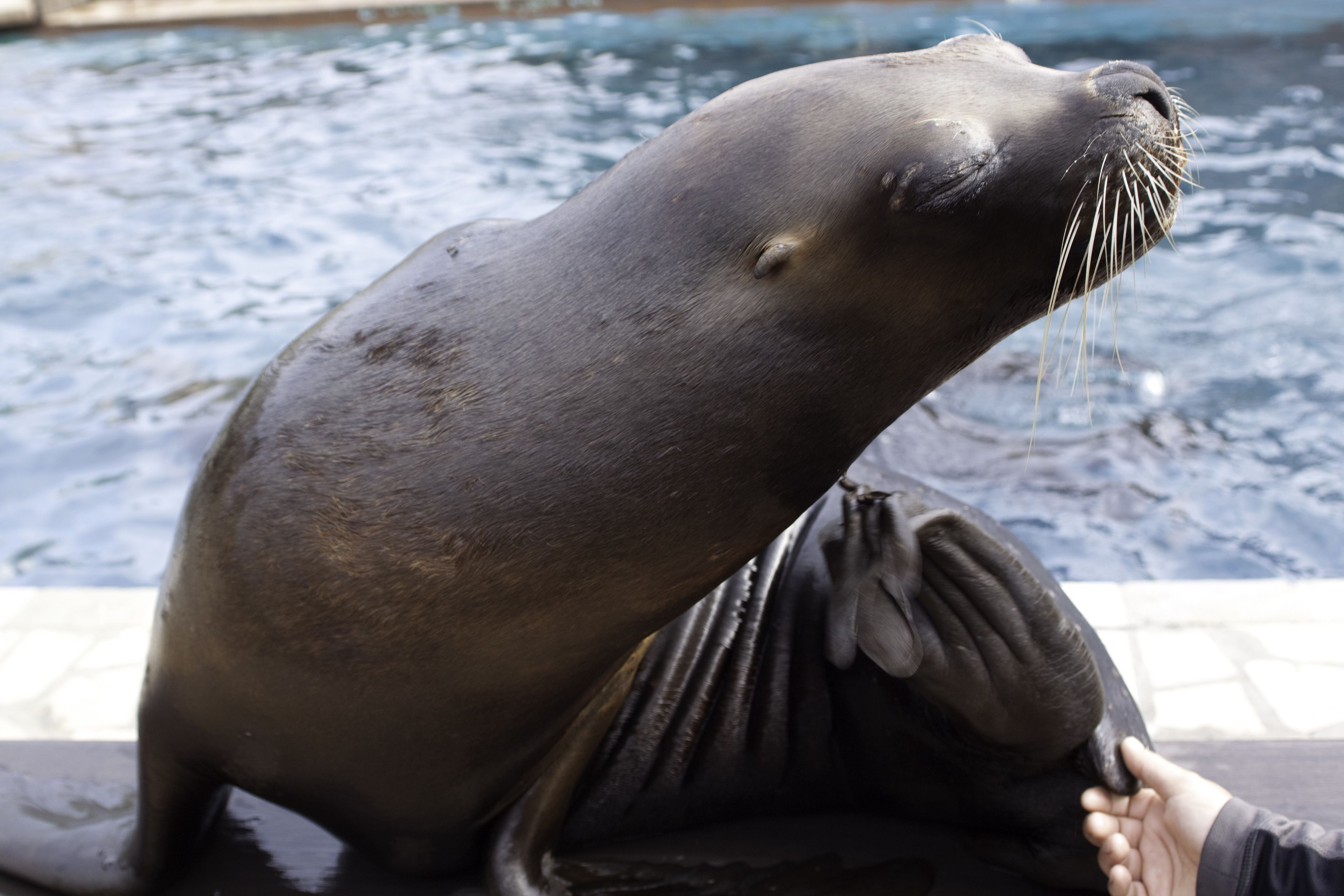 Foto - Hotel Casona El Arral