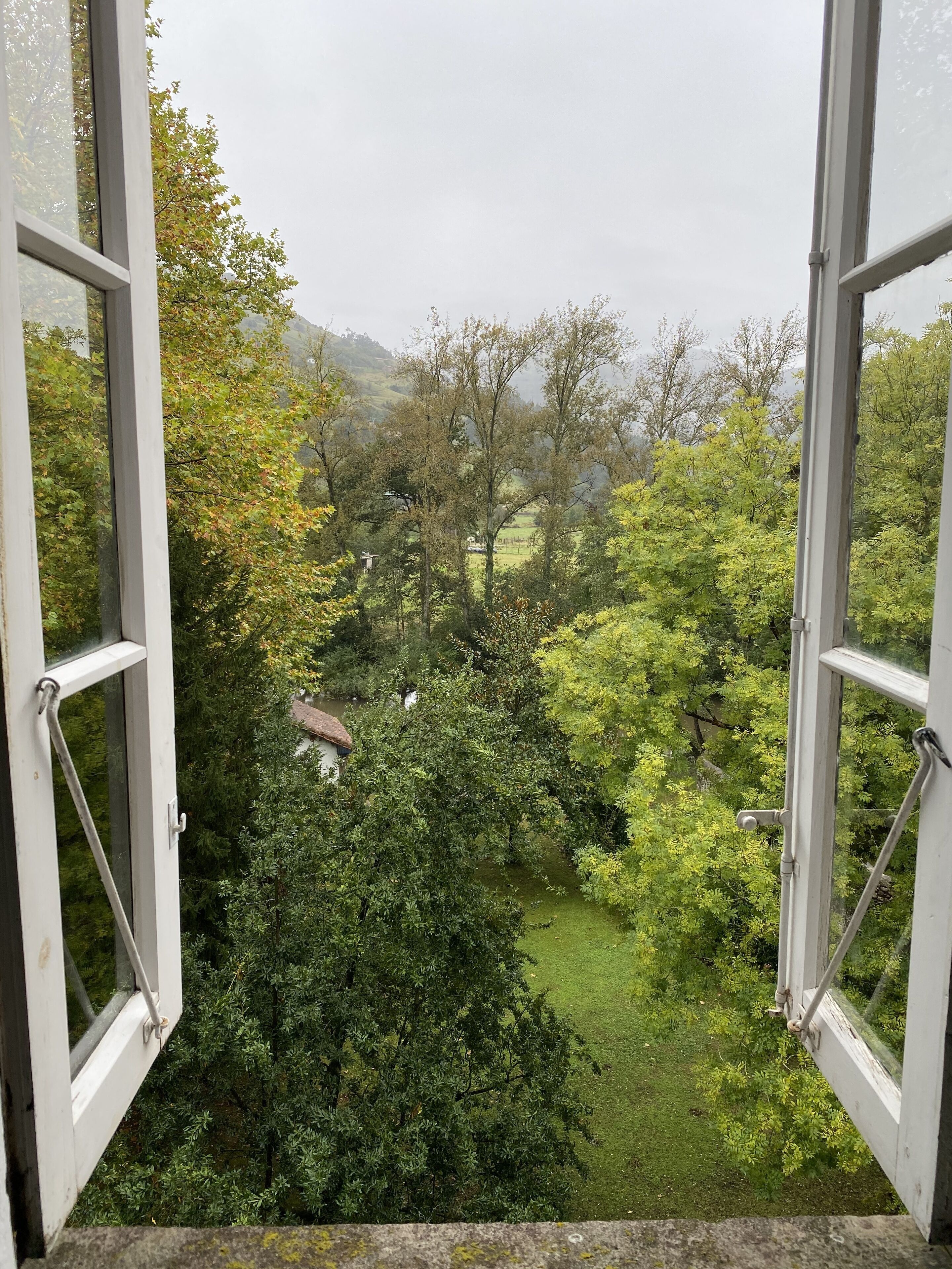 Blick aus einem offenen Fenster auf eine üppige grüne Landschaft mit Bäumen und einem Gebäude in der Ferne.