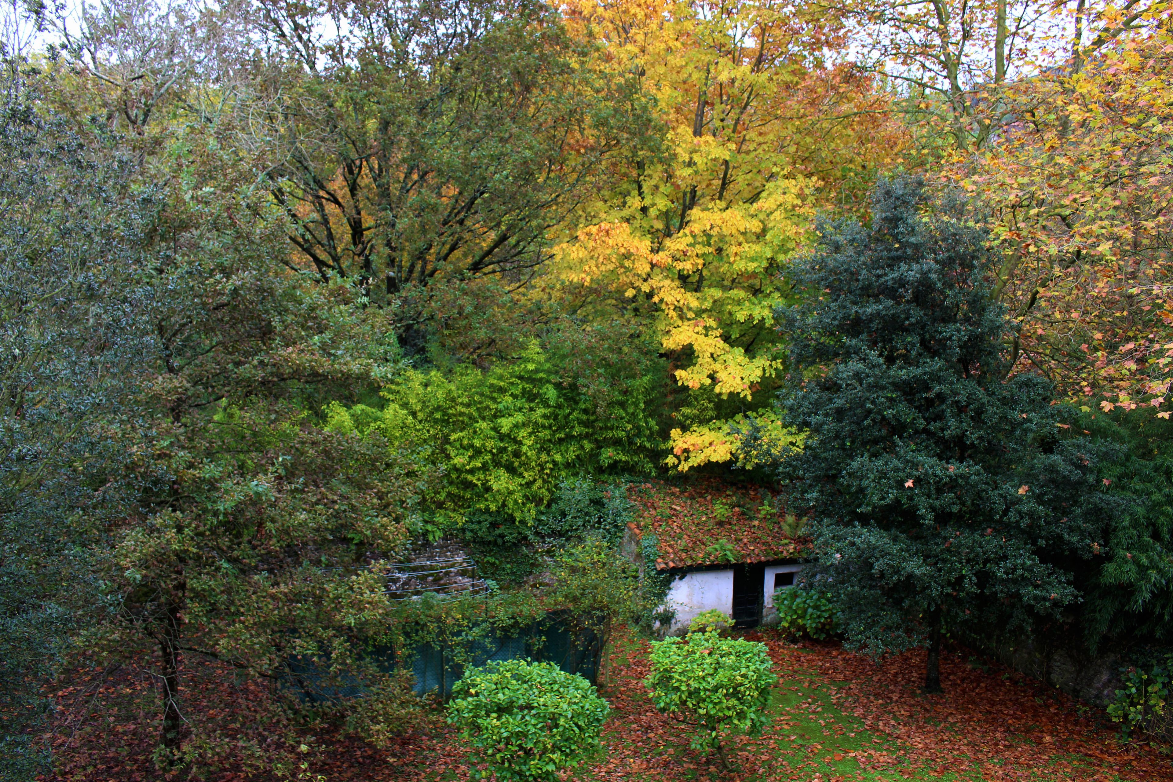 Foto - Hotel Casona El Arral