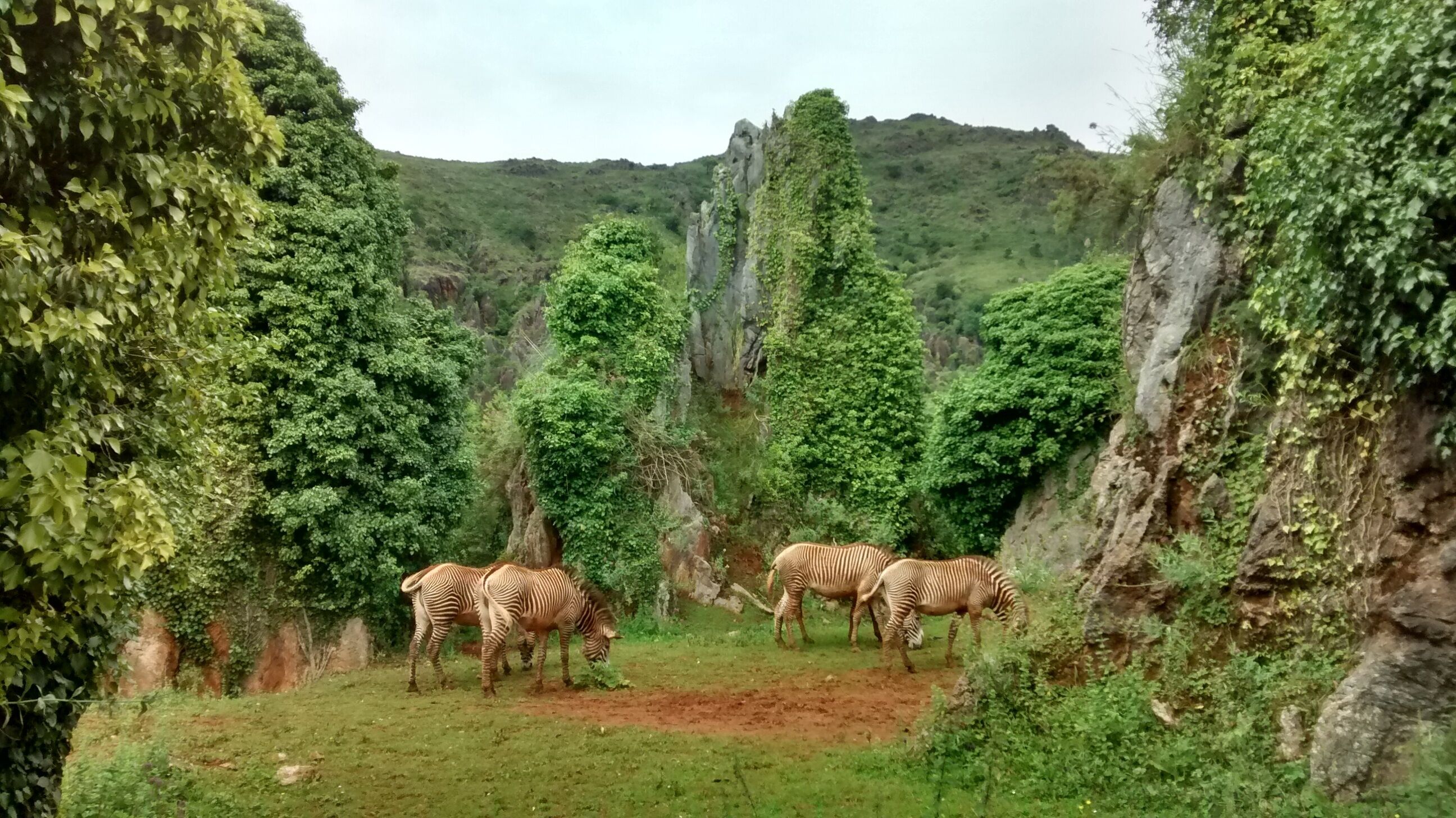 Foto - Hotel Casona El Arral