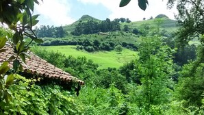 Un paisaje exuberante y verde con una casa tradicional de techo de paja, parcialmente oculta por la vegetación.