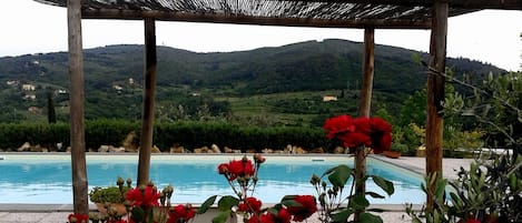 Outdoor pool, open 7:00 AM to 8:00 PM, pool umbrellas, sun loungers