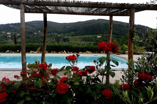 Outdoor pool, open 7:00 AM to 8:00 PM, pool umbrellas, sun loungers