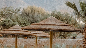 A series of wooden lounge chairs with white cushions arranged in rows, each under a thatched umbrella, set against a backdrop of mountains and sparse vegetation. - Cook's Club Hersonissos Crete (Hersonissos)