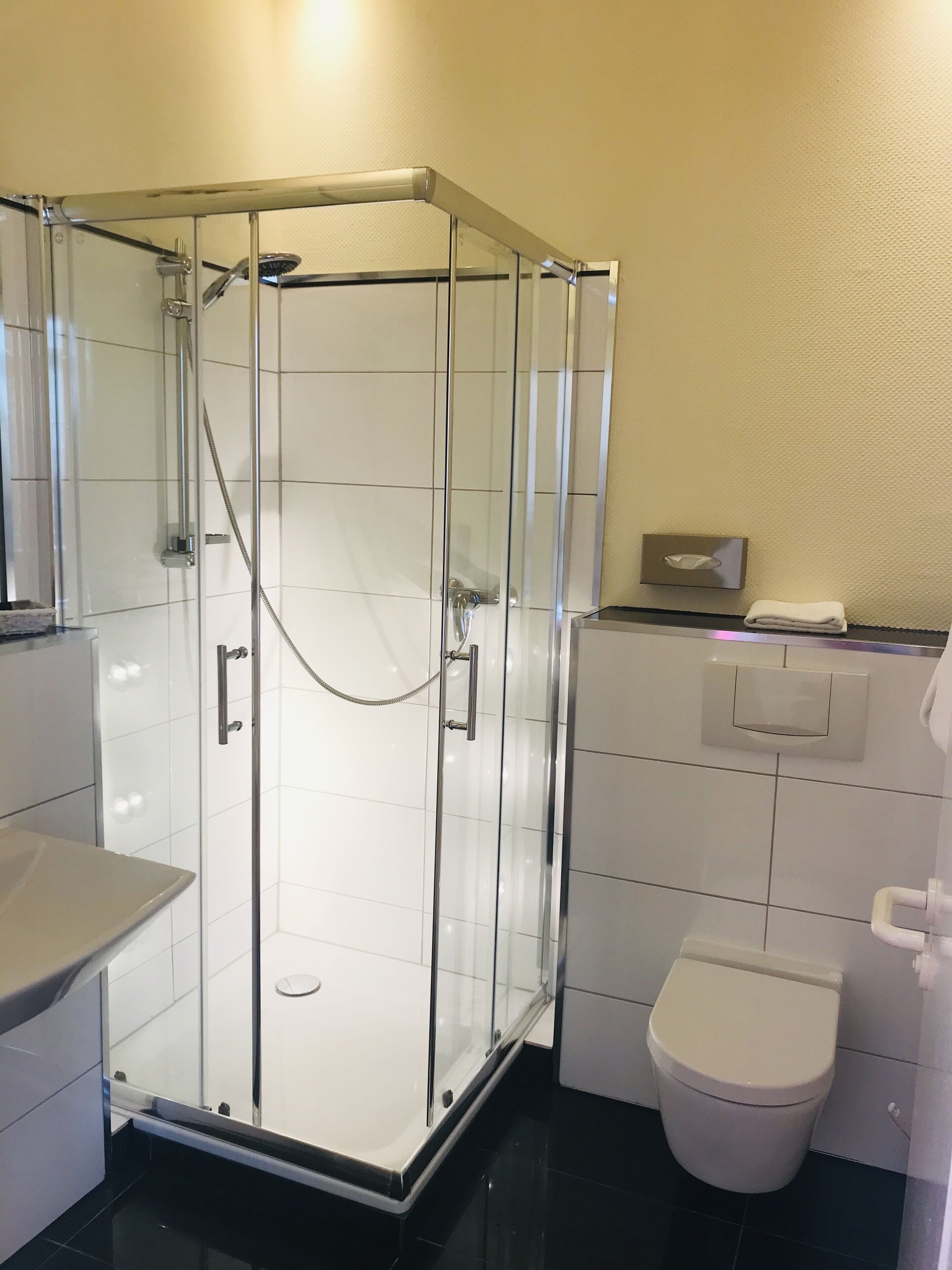 A modern bathroom with a glass-enclosed shower, a toilet, and a sink.