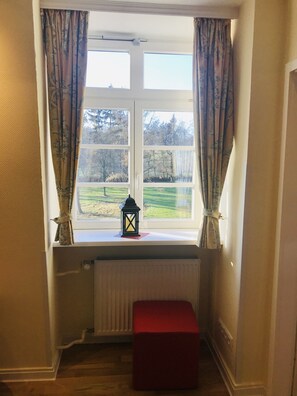 Deluxe Suite | View from room