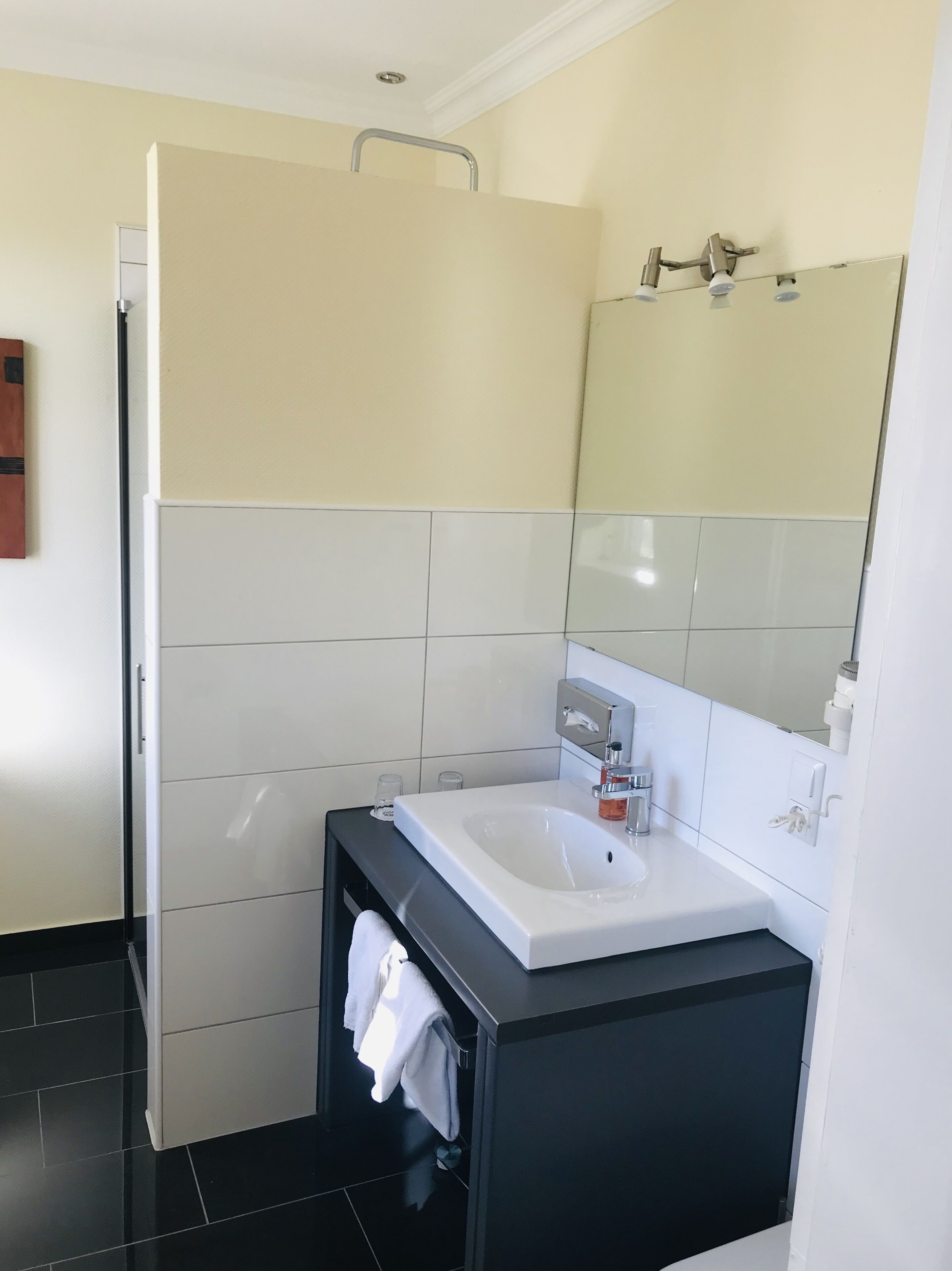 deluxe suite | bathroom | shower, hair dryer, towels
