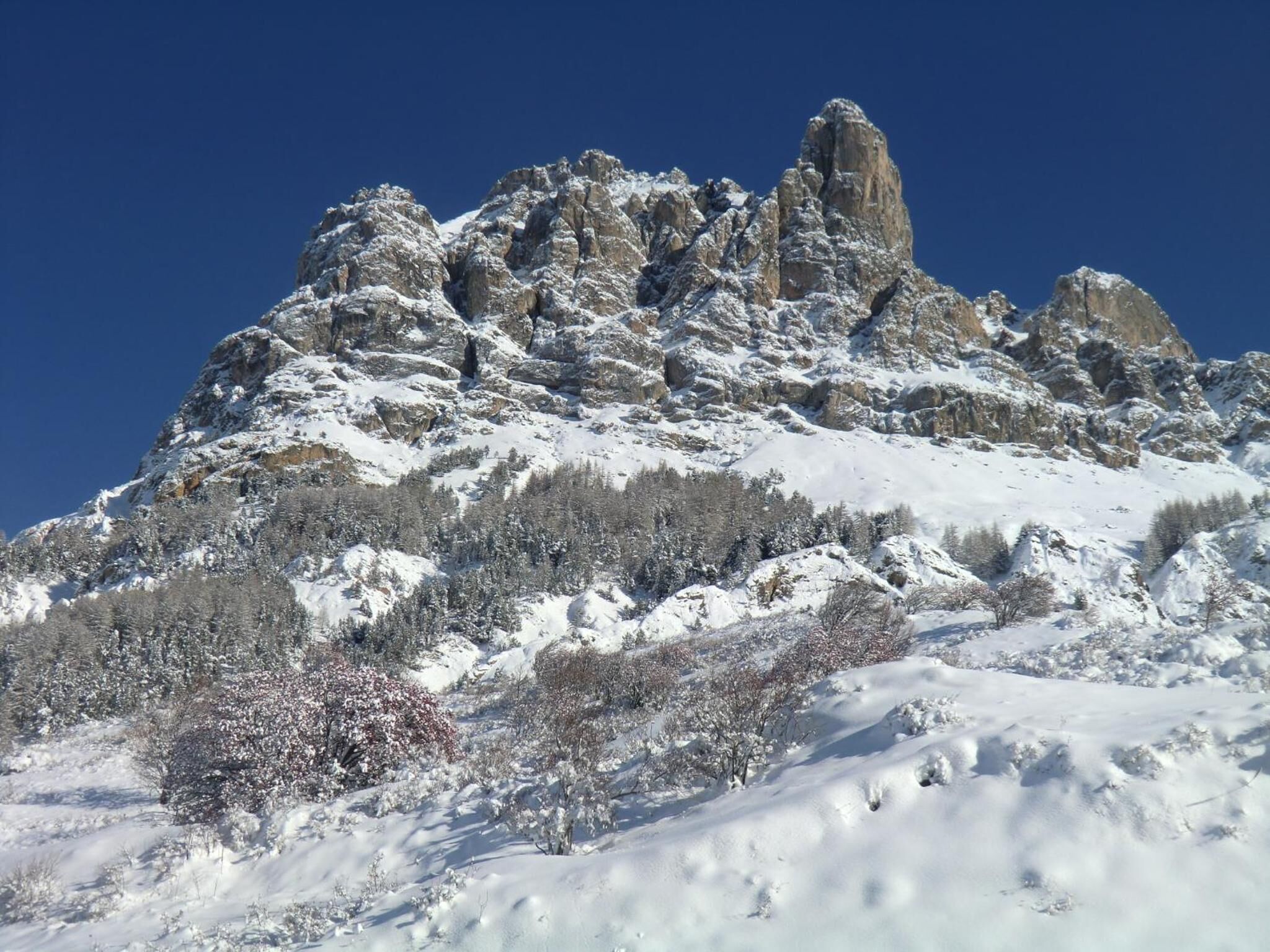 Montanha coberta de neve com picos rochosos e árvores esparsas.