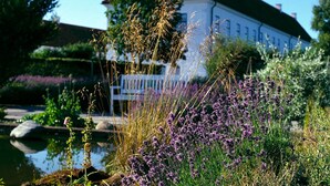 A garden with purple flowers and a white building in the background. - Danhostel Vitskøl Kloster (Logstor)