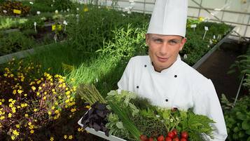 Un chef sostiene una bandeja con verduras frescas en un invernadero.