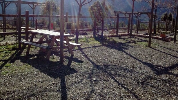 Un'area picnic con panche e tavoli in legno, circondata da una struttura a pergola in legno.